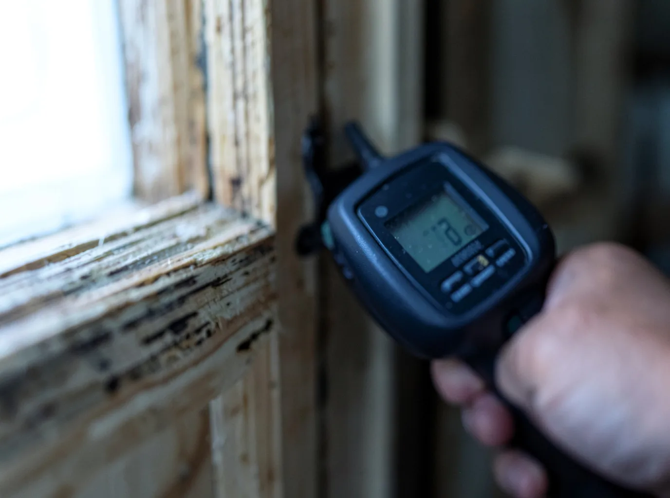 Commercial Water Damage Restoration in Zwingle, IA